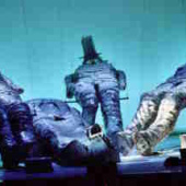 Siegfried Cardiff 2006