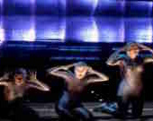 Götterdämmerung Amsterdam 2005