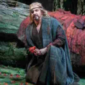 Siegfried Seattle 2013