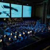 Die Walküre Leeds 2012